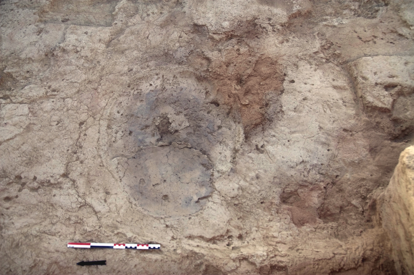 FI 43, an oval hearth sunk into the floor of House 9.