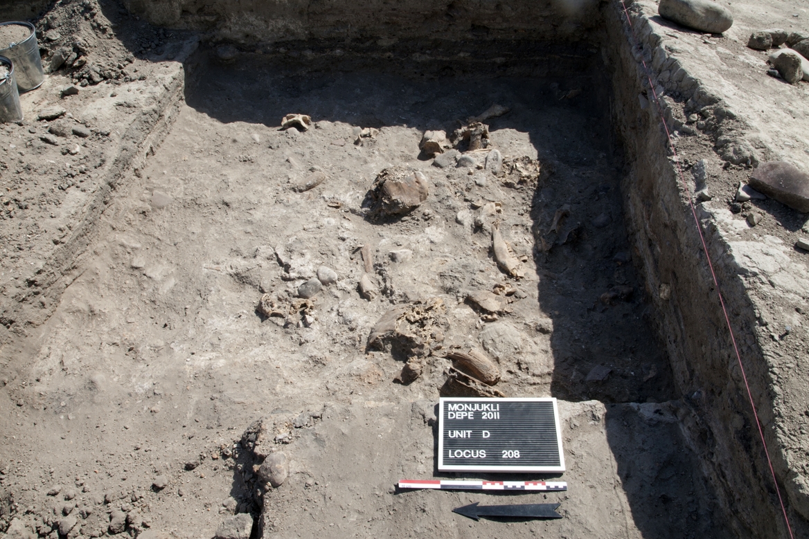 Blick auf einen Teil des Eastern Middens im Südosten von Unit D. Zahlreiche Tierknochen, einige davon noch im anatomischen Verband, wurden zusammen mit großen Mengen von Asche in dem Midden entsorgt.