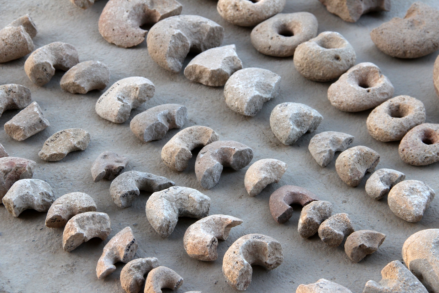 An array of worked stones with holes, of different sizes and states of preservation.