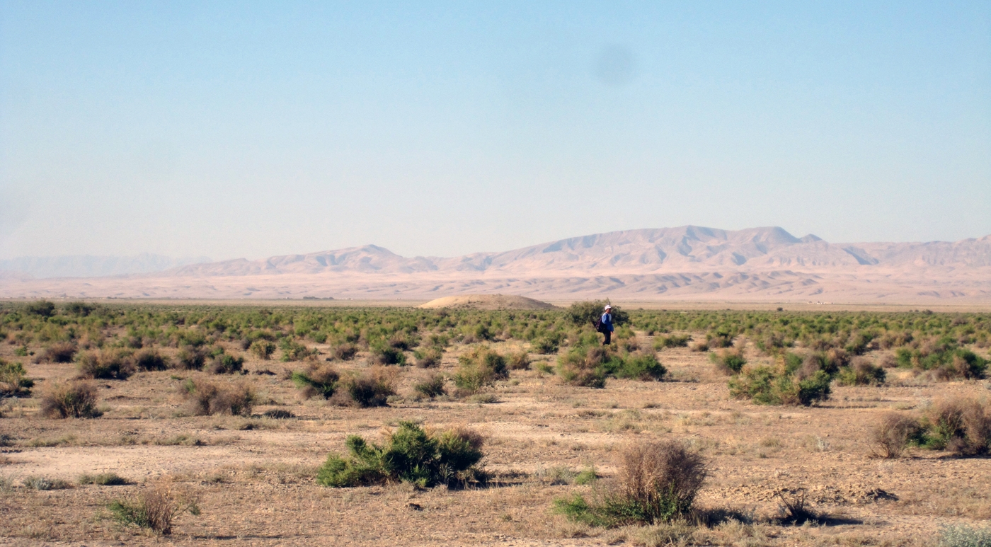 A view toward the Kopet Dag with the prominent mound of Welnamly Depe (CMS Site 4), a Sasanian and Early Islamic site, visible in the center of the photo.